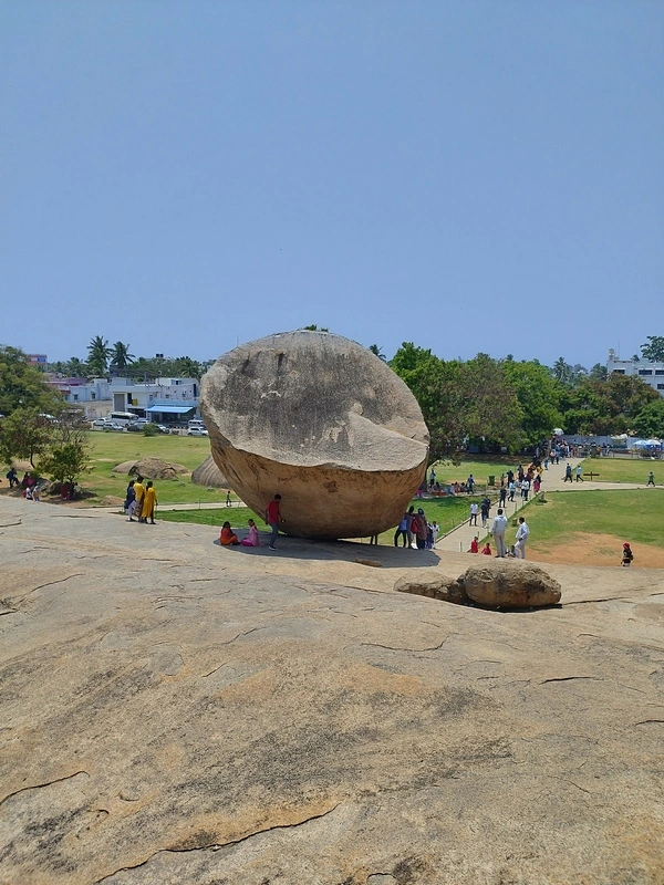 Butter ball back view