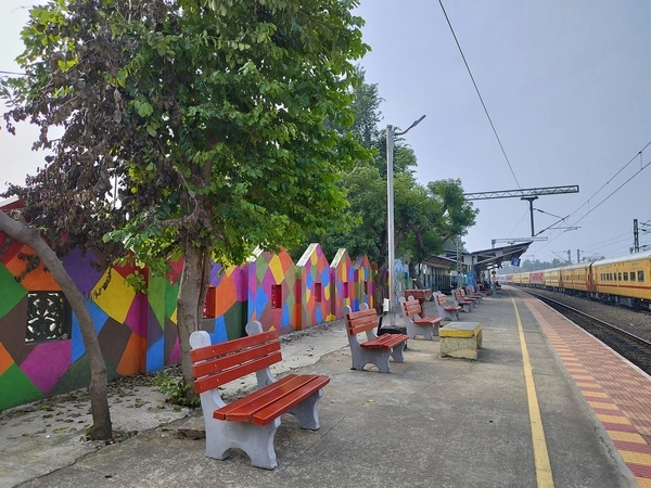 Sitting benches under the trees