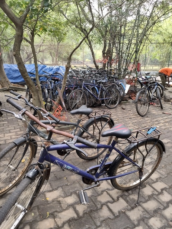 Rental bicycles